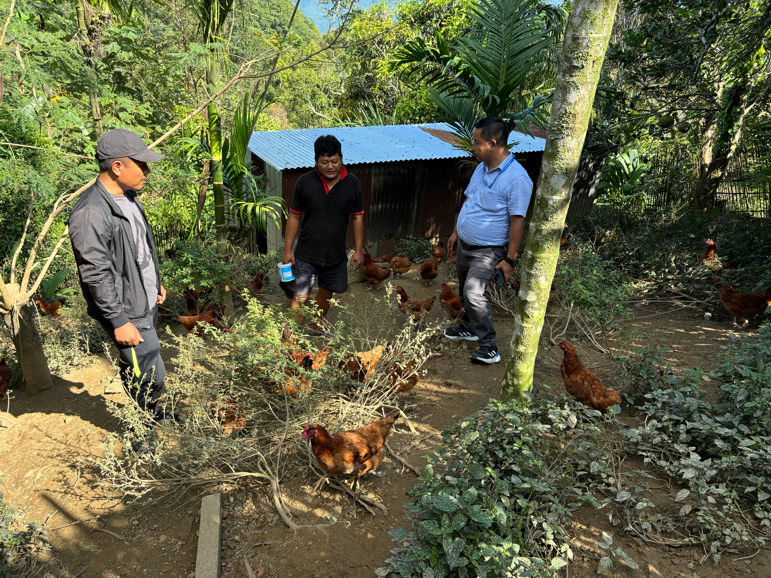 podf honey mizoram